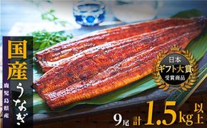 鹿児島県産うなぎ長蒲焼9尾（合計1.5kg以上） 464686_A661