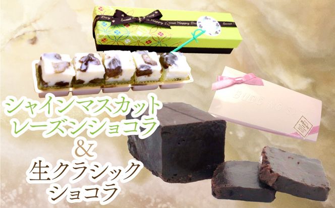  シャインマスカットレーズンショコラ＆生クラシックショコラ 019-001