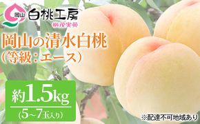 桃 2026年 先行予約 清水 白桃 等級 エース 約1.5kg 5～7玉入りもも モモ 岡山 国産 フルーツ 果物 ギフト 桃茂実苑 果肉 