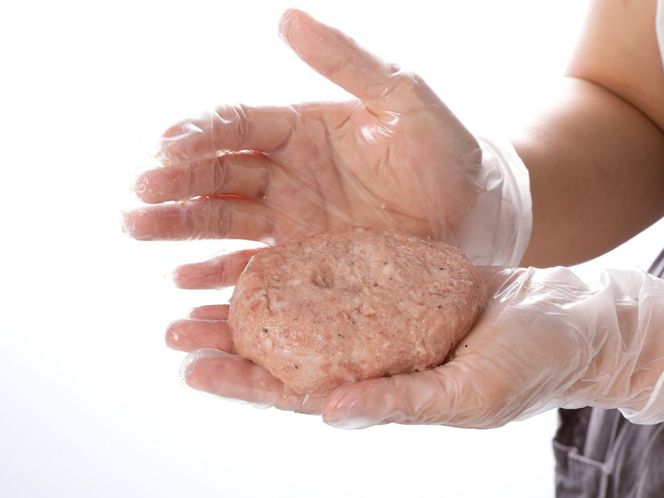 博多和牛手ごね生ハンバーグ(120g×22個)【宗像肉工房】_HA1977