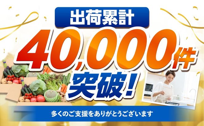 【12回定期便】豪華！野菜 セット 15品目以上 12回 定期便 / 野菜 フルーツ きのこ 詰め合わせ 南島原市 / 吉岡青果 [SCZ019]
