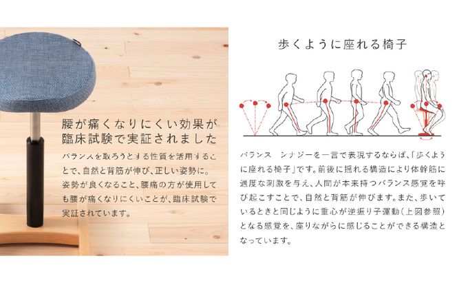バランス シナジー(カバー付き)ラウンドシート/スクエアシート 椅子 いす イス 腰痛 腰痛対策 腰痛予防 姿勢 ブナ材 岐阜県 美濃市