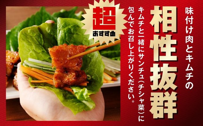 099H3358 【焼くだけ】味付きサムギョプサル 約1kg（500g×2P） プルコギ風味とコチュジャン味付け 食べ比べセット 焼肉 BBQ デジカルビ