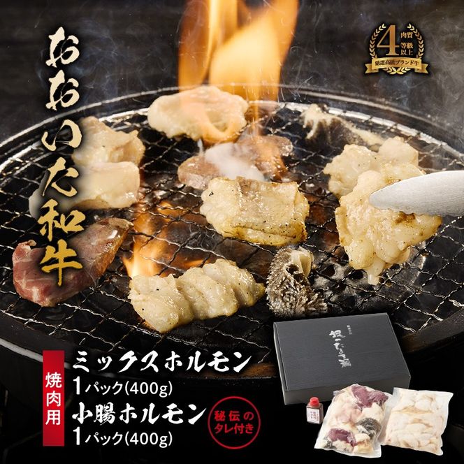 【秘伝のタレ付】おおいた和牛 ミックス・小腸ホルモン 各400g_2679R 焼肉 バーベキュー BBQ ミシュラン 高級店