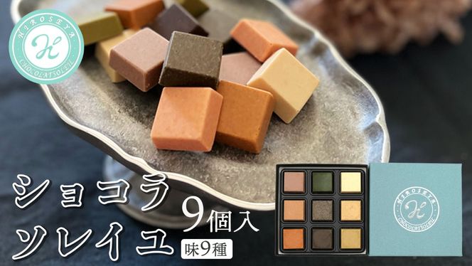 ショコラソレイユ 9種 チョコレート チョコ スイーツ デザート 高級 ギフト 贈り物 お礼 プレゼント 手土産 お菓子 [DJ07-NT]