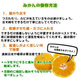 BD6035n_【2026年先行予約】高糖度 有田みかん 特秀品 5kg 小玉 (S～Mサイズおまかせ)