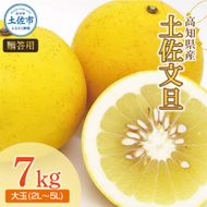 土佐文旦（ぶんたん）（大玉：２Ｌ～５Ｌ混合）約７ｋｇ  約10～15玉
