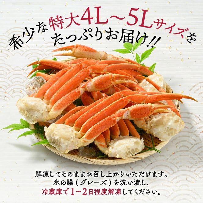 20-245 【訳あり】特大4L～5L_ボイル本ずわいがに肩脚　4～5肩(約1.5kg)