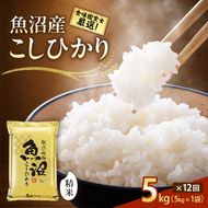 【令和8年産 先行予約】「12カ月定期便」食味鑑定士厳選！魚沼産こしひかり 5kg×12回 白米 米 コシヒカリ 定期 新潟県 十日町市