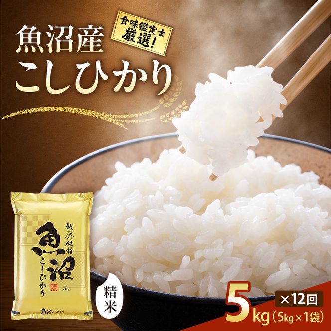 【令和8年産 先行予約】「12カ月定期便」食味鑑定士厳選！魚沼産こしひかり 5kg×12回 白米 米 コシヒカリ 定期 新潟県 十日町市