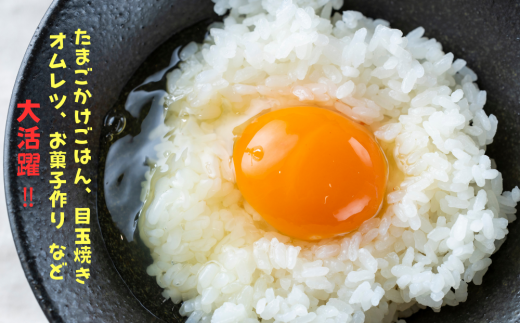 【定期便】 2回定期【天王原のたまご】 サクセス卵 30個入り 定期便 たまご 卵