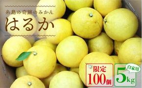 【先行予約】爽やか に甘い！ 糸島産 「 はるか 」  自家用 約 5kg 【2026年3月より順次発送】二丈赤米産直センター [ABB023] みかん ミカン 蜜柑 柑橘 果物 贈答 5kg 家庭用 訳あり 国産