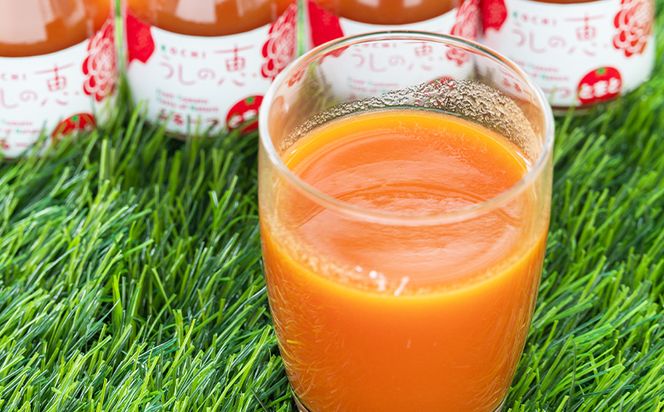 野菜ジュース 野菜ソムリエが育てた うしの惠フルーツトマト500ｇ＋トマトジュース4本 -  野菜 とまと 産地直送 料理 アレンジ サラダ 鍋 サンドイッチ 完熟 リコピン 甘い mj-0026