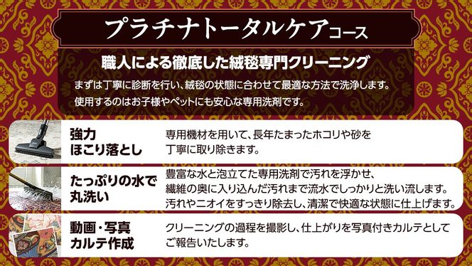 ＼選べるサイズ／宅配 絨毯 クリーニング チケット │ プラチナトータルケアコース 宅配 クリーニング 洗濯 洗浄 清潔 じゅうたん ラグ カーペット 丸洗い マット ニオイ対策 大掃除 ダニ 対策 敷物
