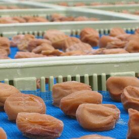 【定期便】紀州南高梅 7種の風味 1000g×12ヶ月 化粧箱入_BL6152