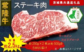 169-26-044　【5か月定期便】【常陸牛】ステーキ用肉 約500g【定期便】計5回 総量約2,500g（茨城県共通返礼品）【常陸牛　茨城県産　日立市】