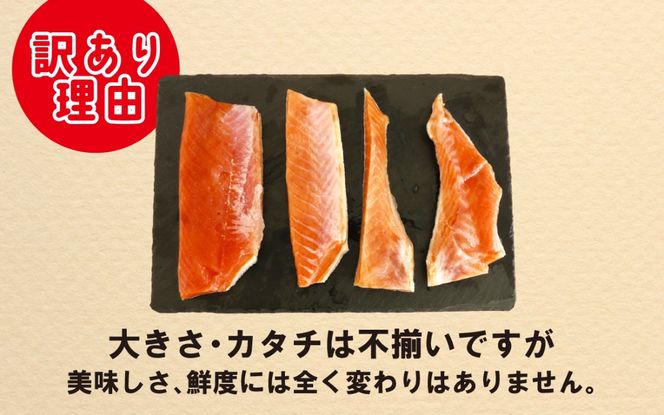 12ヶ月連続お届け 訳あり 無塩 秋鮭ハラス切り身(300g) 5袋 | 骨なし うすしお さけ サケ しゃけ シャケ サーモン 個包装 訳アリ 料理 お弁当 おかず 秋 海鮮 魚介 冷凍 サーモンハラス 旬 ギフト 送料無料 お取り寄せグルメ 富山 滑川市 国産 300g 300グラム 18kg 18キロ