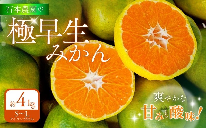 みかん 石本農園の 極早生みかん S〜Lサイズいずれか 約4kg[9月中旬から10月下旬までに順次発送]/ みかん ミカン 蜜柑 温州 [mis020]