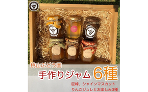 桃山ぶどう園の手作りくだものジャム8種（巨峰、シャインマスカット、りんごジュレとお楽しみ5種）　※北海道・沖縄・離島への配送不可　※2025年9月中旬頃より順次発送予定