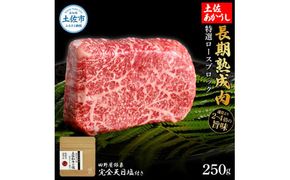 特選 ロースブロック 土佐あかうし 長期熟成肉 250g 田野屋銀象 完全天日塩付き ロース 牛肉 ブロック 肉 お肉 和牛 国産 牛 熟成肉 ブロック肉 豪華 贅沢【株式会社LATERAL】 [BQAU022]