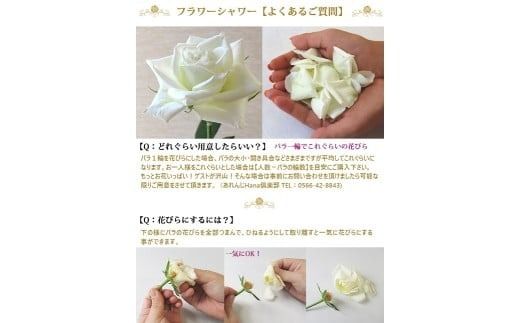 〈日付指定も可能〉 観賞はもちろん！バラ風呂やフラワーシャワーに！ ローズインにゅーよーくミックス５０輪 バラ５０輪詰め合わせ 風呂 薔薇 ローズ ギフト プレゼント ラッピング インテリア お花 フラワー H193-037