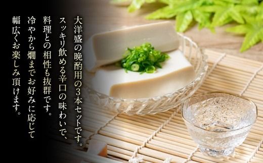 【定番酒晩酌セット】大洋盛セットHSW（720ml飲み比べ3本セット） 日本酒飲み比べセット 淡麗辛口 四合瓶 大洋酒造 1009006