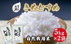 165.日置さん家の自然栽培米「きぬむすめ」精米　5kg×2袋 2025年産 313726_AE007VC01