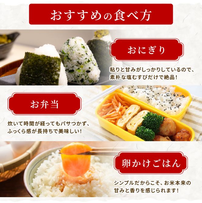 ひとめぼれ 定期便6回/5kg×1袋 令和8年産 新米 先行予約 宮城県産 米 精米 白米