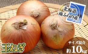 南ふらの産 玉ねぎ 約10kg 【サイズ混合】 北海道 南富良野町 2026年発送 先行予約 北海道 南富良野町  玉葱 玉ネギ 玉ねぎ ネギ ねぎ 先行予約 野菜 たまねぎ 