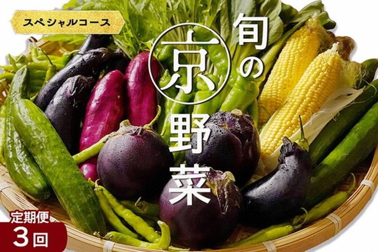 [3回定期便]旬の京野菜 毎月お届けスペシャルコース(全3回)≪京都 丹波 野菜 ふるさと納税野菜≫ ※沖縄・離島・諸島へのお届け不可