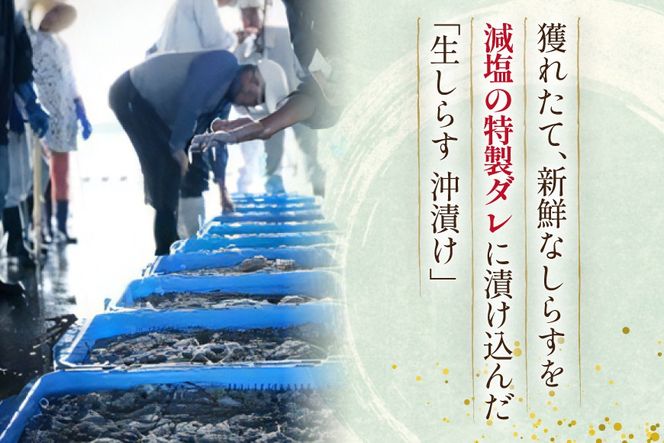 生しらす 沖漬け 計 400g [丸三水産 静岡県 吉田町 22424696] しらす シラス 小分け 冷凍 海鮮 ご飯のお供