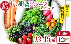 【12回定期便】　「旬の野菜・フルーツ」 詰め合わせ セット（13品〜15品）/ 野菜 定期便 やさい 定期便 野菜セット やさいセット 春野菜 夏野菜 秋野菜 冬野菜 旬新鮮 / 南島原市 /長崎県農産品流通合同会社[SCB093]