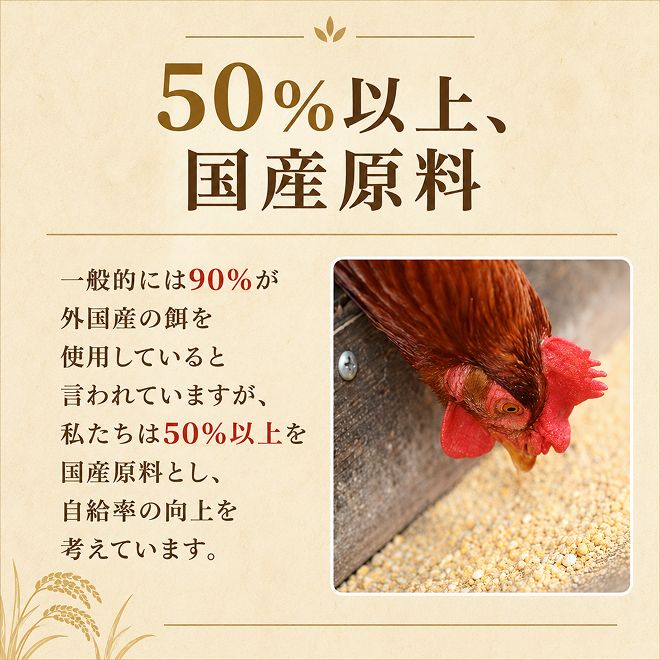 卵 わずか4%の希少な純国産鶏 いけだの森たまご 30個 こだわり おこめのたまご 玉子 鶏卵 生卵 産地直送 冷蔵配送 TKG 卵かけご飯 岐阜県産 