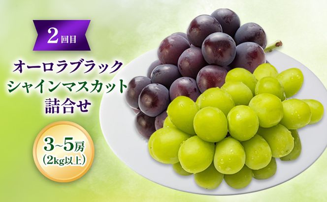 【2026年先行予約】ご家庭用「 マスカット ・オブ・ アレキサンドリア 」＆「 オーロラブラック ・ シャインマスカット の詰合せ」2回定期便 各3～5房(2kg以上) フルーツ 果物 数量限定 里庄町 リアムfarm