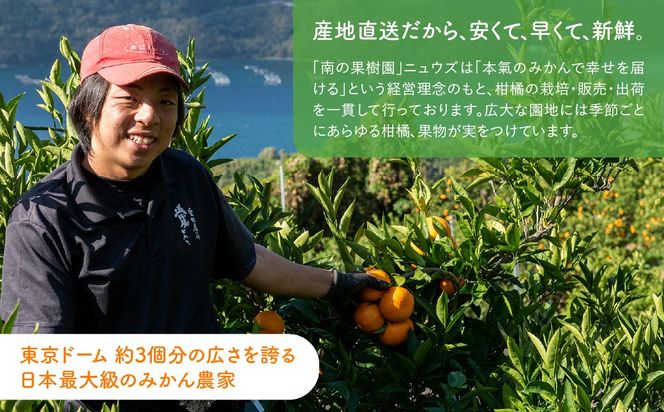 果汁たっぷり！シャーベットなのに滑らかな口当たりニュウズシャーベット3種10個 ※離島への配送不可 IKTF025