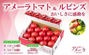 アメーラ＆ルビンズ5P