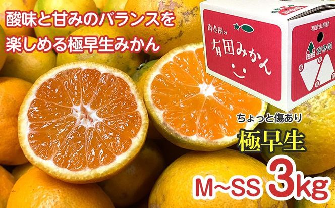 【定期便 全3回】有田みかん ちょっと傷あり 3kg × 3回 コース 食べくらべ 3種 南泰園 BS860