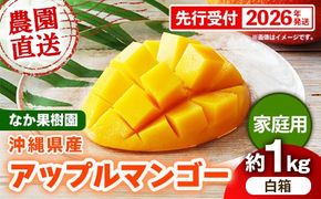 【先行受付】【2026年発送】なか果樹園 アップルマンゴー 家庭用 約1kg （白箱）- 産地直送 先行予約 沖縄県産 ご自宅用 南国フルーツ 旬の味覚 オススメ 沖縄県 八重瀬町