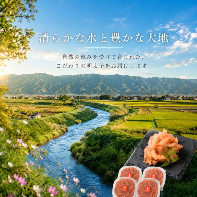 いか明太 140g×4 明太子 めんたいこ 加工品