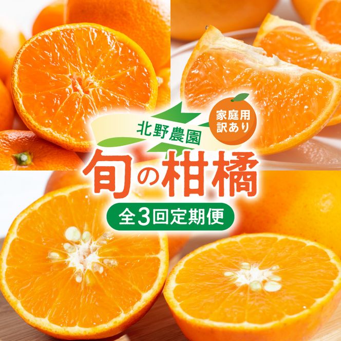 北野農園の旬の柑橘定期便（訳あり・家庭用）【全3回】_DZ60-T01