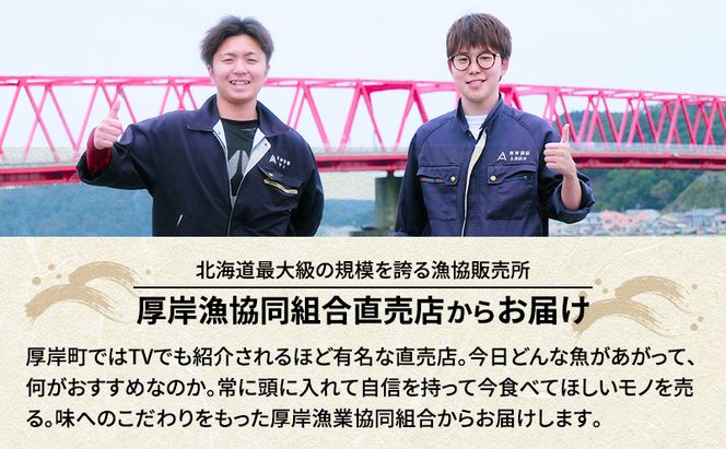 先行予約 産地直送 鮮度抜群 北海道 厚岸産 刺身用 鮮さんま 10本 サンマ 秋刀魚 さんま 鮮魚 魚介類 海産 生さんま