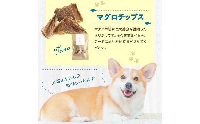 【R15011】ドッグフード 無添加 お魚3点セット【犬の手作りごはん】
