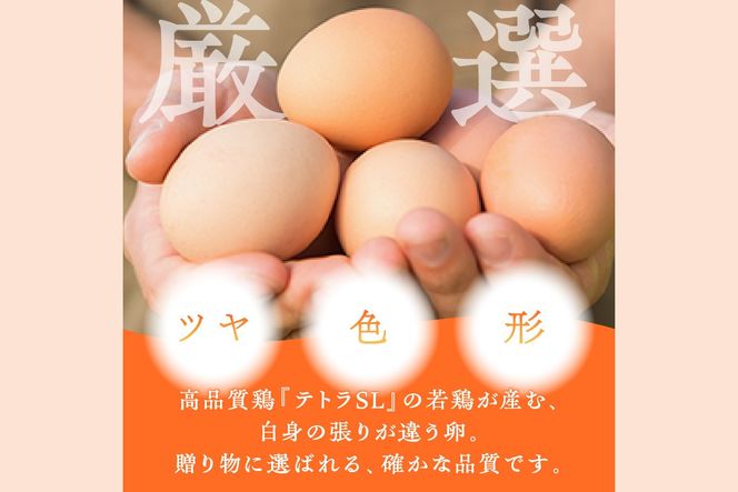 【J11-001】テトラエッグ特選卵『バボルナの宝石』（30個/月）【12カ月定期便】