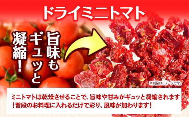ドライミニトマト セット 60g トマト ミニトマト 野菜 GTOファーム 熊本県 南阿蘇村《7月上旬-10月末頃出荷》---sms_gtodmt_af710_26_4500_60g---