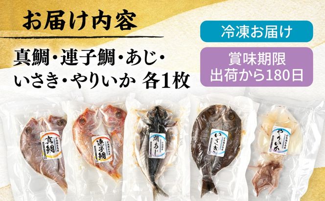 活き活き鮮魚開きセット（真鯛・連子鯛・アジ・いさき・やりいか 計 5枚）糸島市 / 有限会社 糸島海産 / 開き / セット[AMR001]