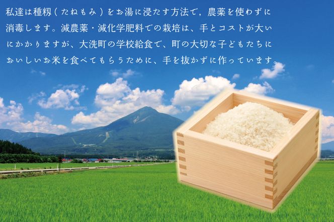 先行予約 新米 令和8年産米 3kg すぐ発送 すぐ届く 低農薬米 大洗 日の出米 コシヒカリ 精米 令和8年産 特別栽培米 コメ こめ 送料無料