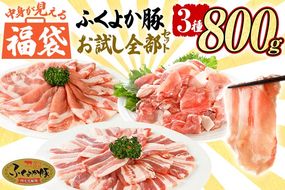 福袋 豚肉 しゃぶしゃぶ 焼肉 切り落とし【B】ふくよか豚 お試し全部セット ロース バラ 小分け ブタ肉 ぶた肉 冷凍 福岡県 福岡 九州 グルメ お取り寄せ