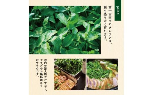 富士吉田市のクレソンペーストセット　クレソン 300g ペースト 2本セット 野菜 サラダ 食品添加物不使用 山梨 富士吉田