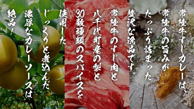 【茨城県共通返礼品】常陸牛すじカレー 200g ×6 常陸牛 カレー 牛肉 時短 ふるさと納税 10000円 [AU104ya]