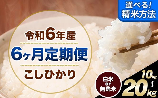 【6ヶ月定期便】令和6年産 無洗米 も 選べる 定期便 こしひかり 白米 or 無洗米 選べる精米方法 定期便 内容量 10kg15kg 20kg 白米 精米 無洗米 熊本県産(南阿蘇村産含む) 単一原料米 南阿蘇村《申込み翌月から発送》---kh6tei_132000_10kg_mo6_mna_h---